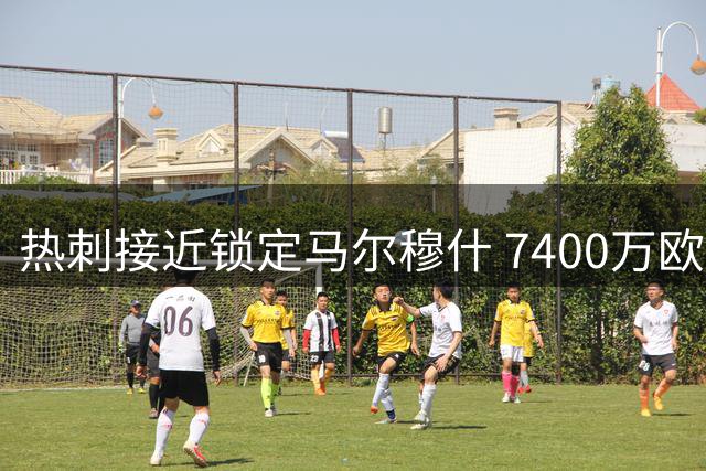 热刺接近锁定马尔穆什 7400万欧转会谈判进入尾声
